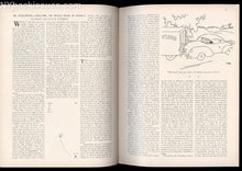Load image into Gallery viewer, New Yorker magazine July 31 1954 S J Perelman Ida Treat Laura Fermi on Enrico Fermi FINE