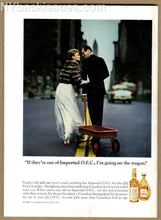 Load image into Gallery viewer, New Yorker magazine April 30 1966 race horse Frank O'Connor NEAR MINT