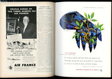 Load image into Gallery viewer, New Yorker magazine September 3 1955 yacht sailboat George S Kaufman NEAR MINT