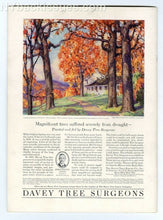 Load image into Gallery viewer, New Yorker magazine July 2 1932 Will Cuppy John Hays Hammond Jr VERY FINE